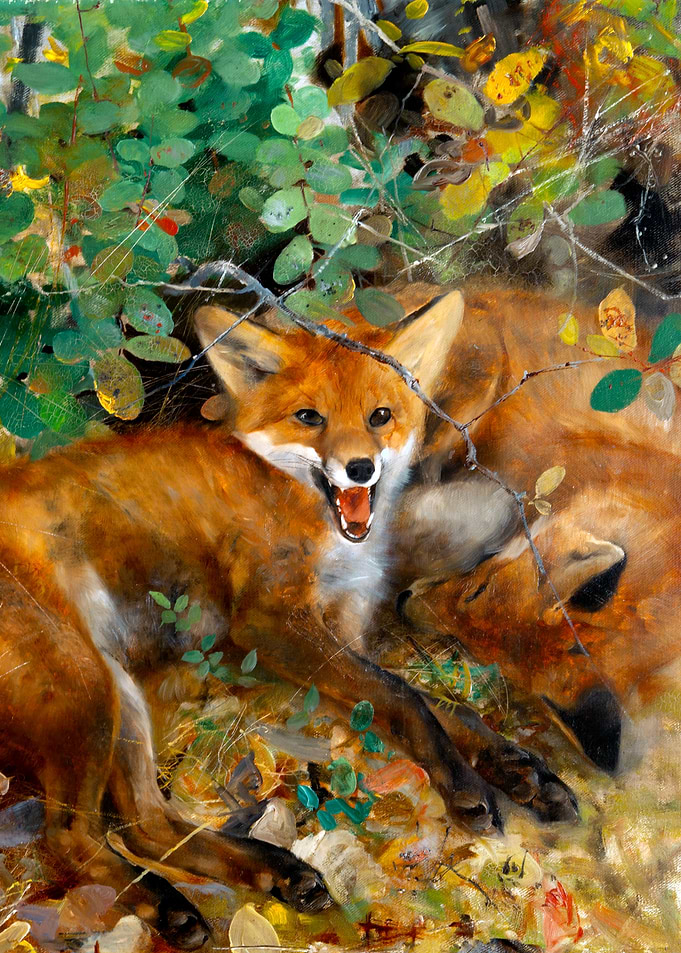 Foxes Resting Painting by Bruno Liljefors