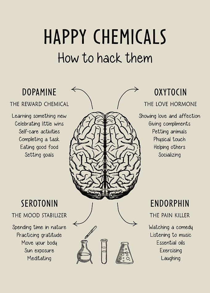 Happy Chemicals Infographic Poster