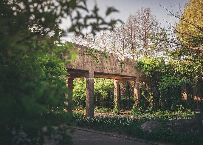 Overgrown Concrete Bridge in Garden
