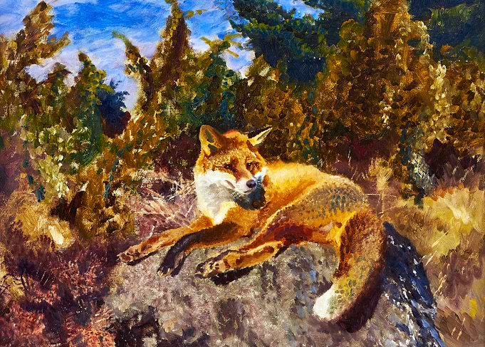 Resting Fox in Forest Landscape Painting by Bruno Liljefors