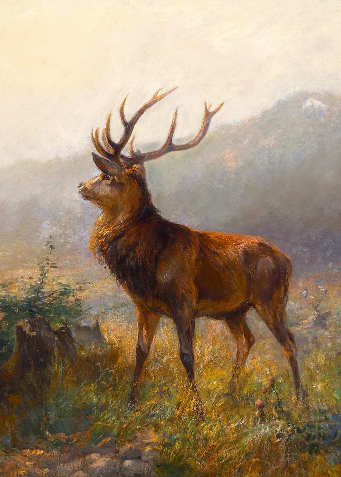Deer Painting by Anton Weinberger