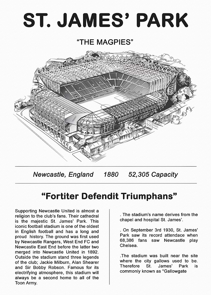 St. James' Park Stadium Poster