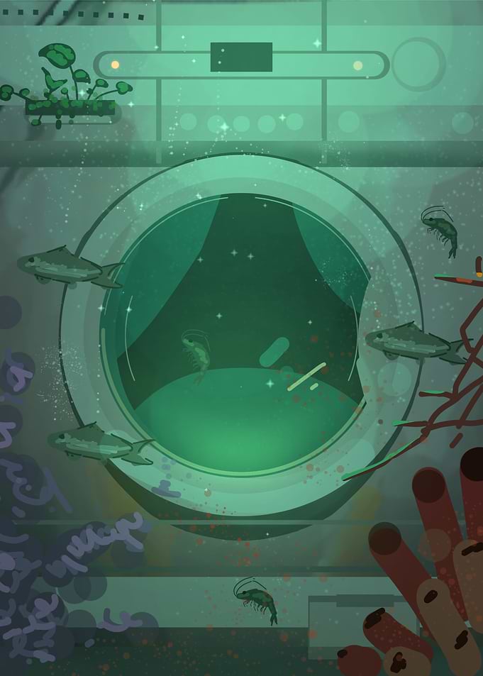 Sunken Laundromat