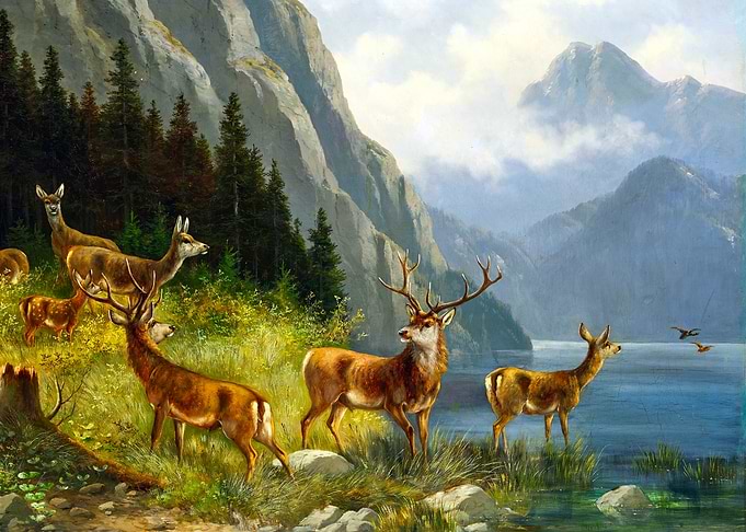 Deer by a Mountain Lake Painting by Moritz Muller