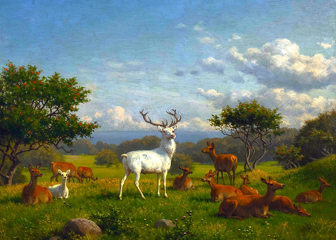 A White Stag Deer with its Herd Painting by Carl Bogh