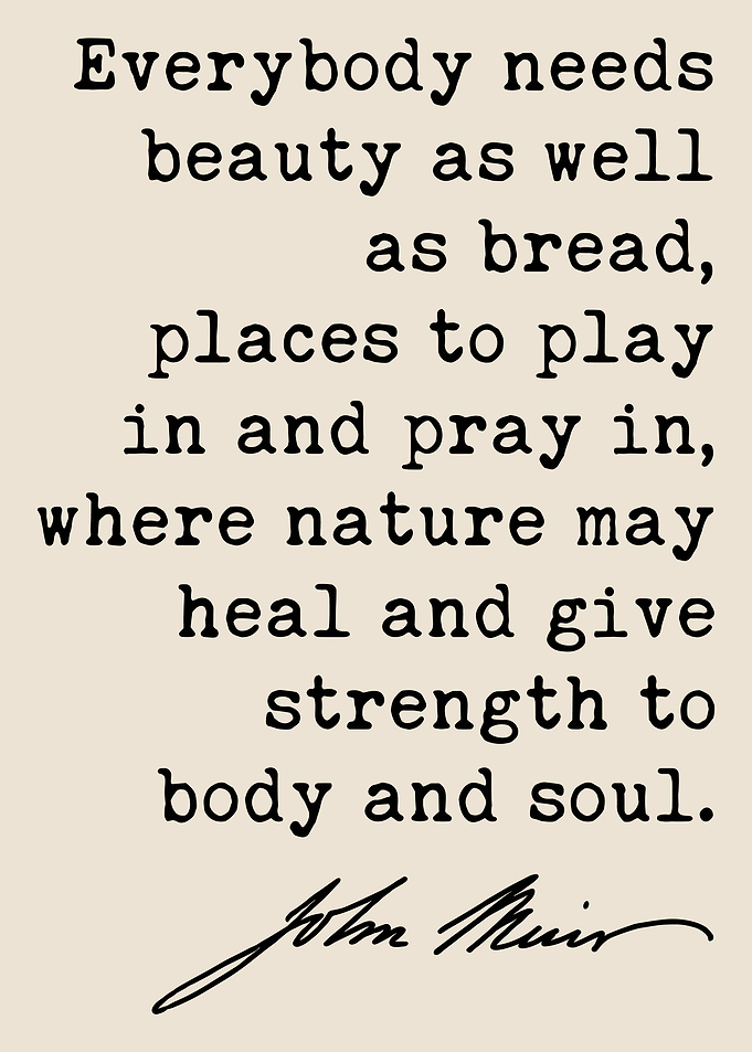 John Muir Inspirational Quote Poster
