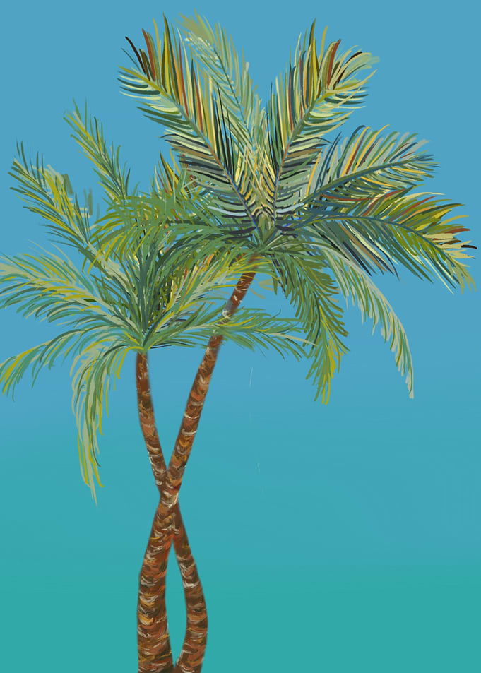 Two Intertwined Palm Trees