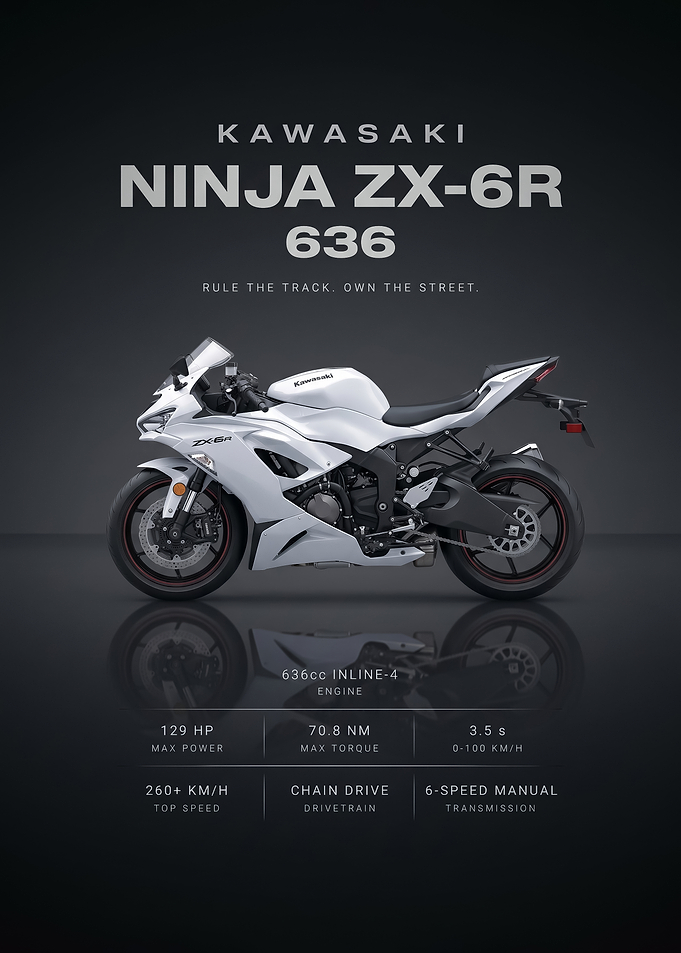 white sleek Ninja ZX-6R 636 Motorcycle Poster