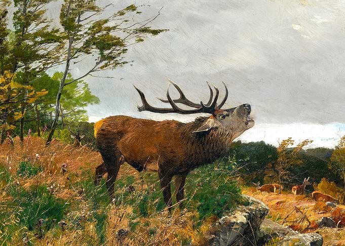 Stag Deer Bellowing in Autumn Landscape Painting