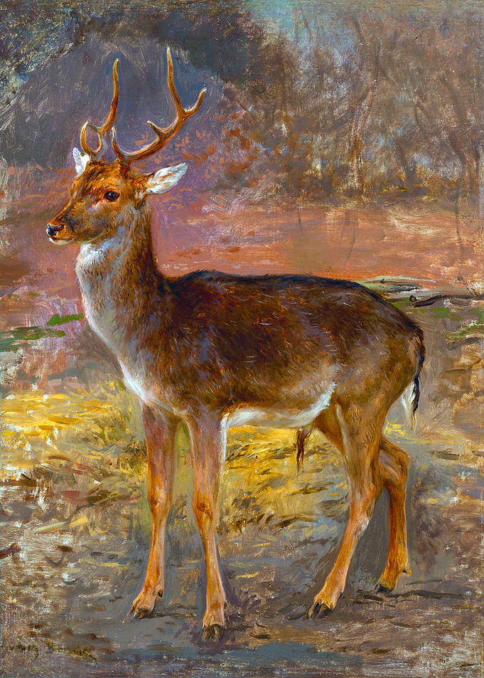 Deer Painting by Rosa Bonheur