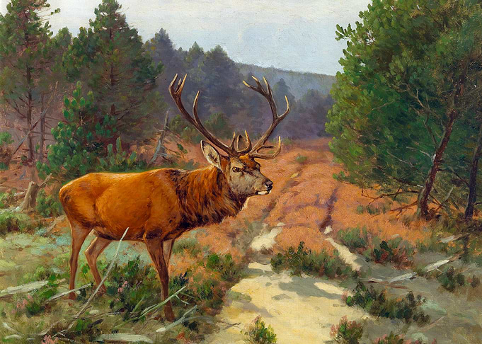 Stag Deer in the Forest Clearing Painting by Christoffer Drathmann