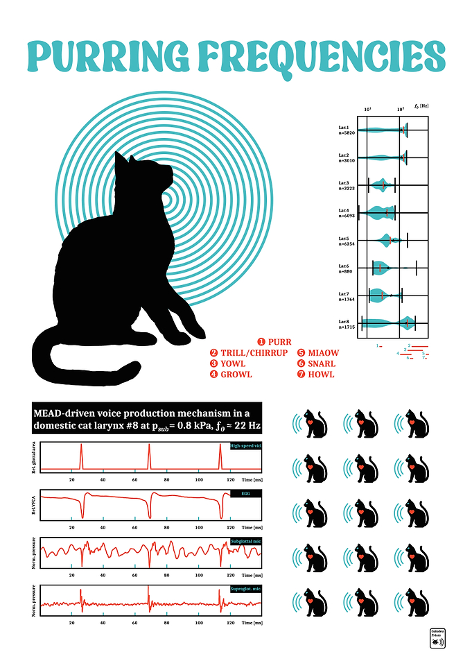 Purring Frequencies