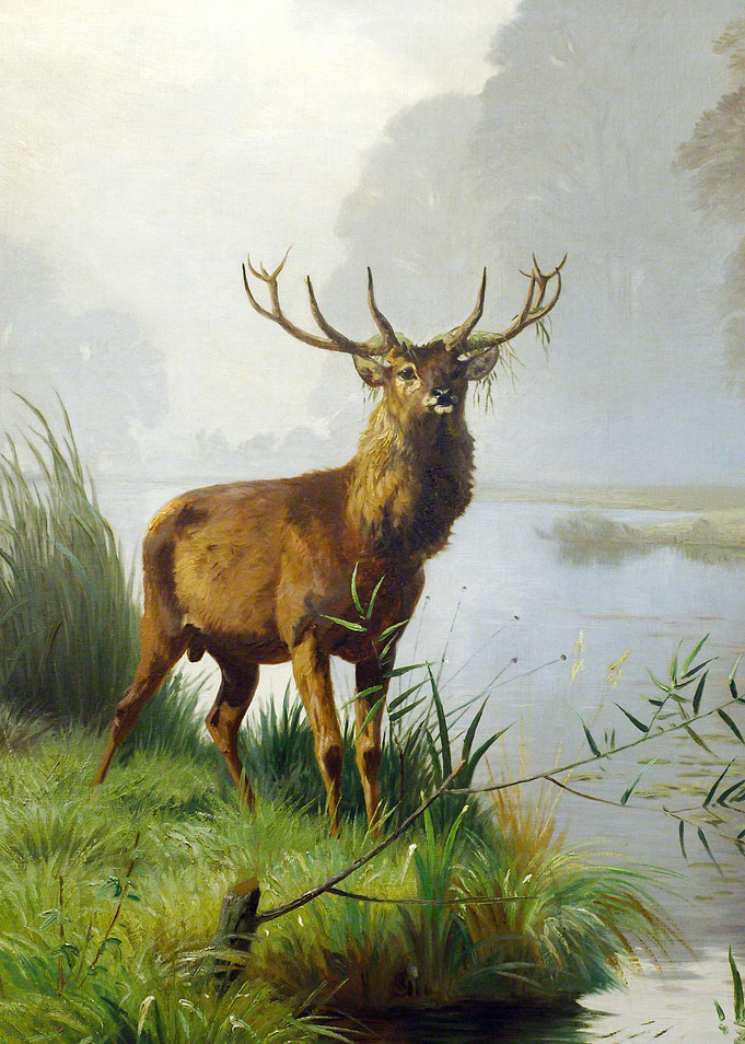 Stag Deer Standing by a Misty River Painting
