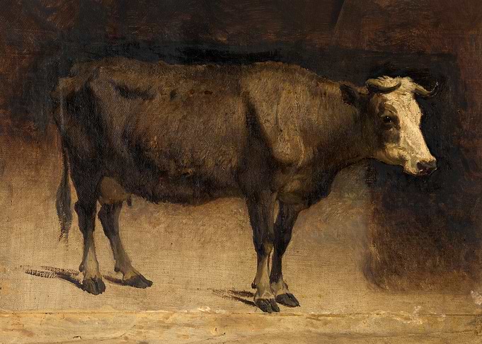 Cow