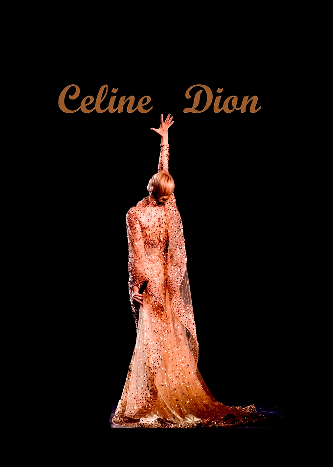 Celine Dion Performing in Sequined Gown