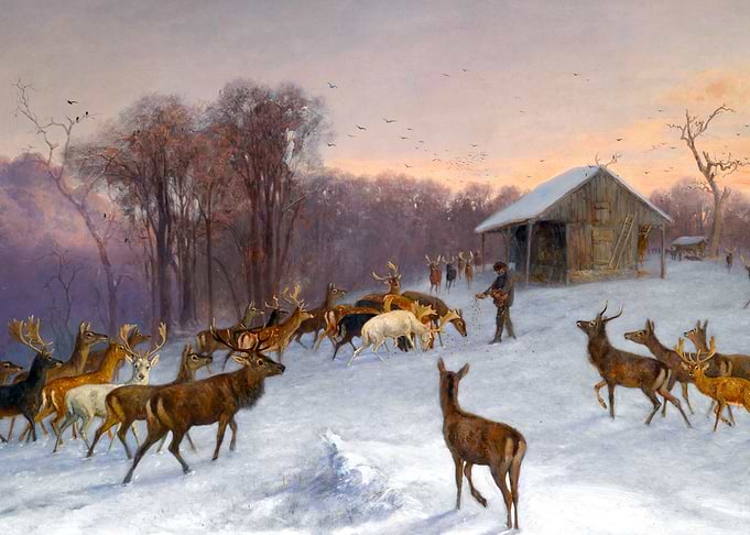 Deer Being Fed in Winter Painting by Wilhelm Richter