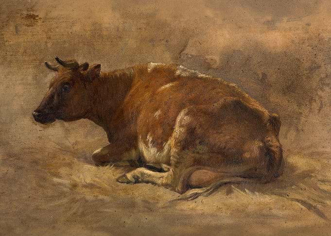Cow