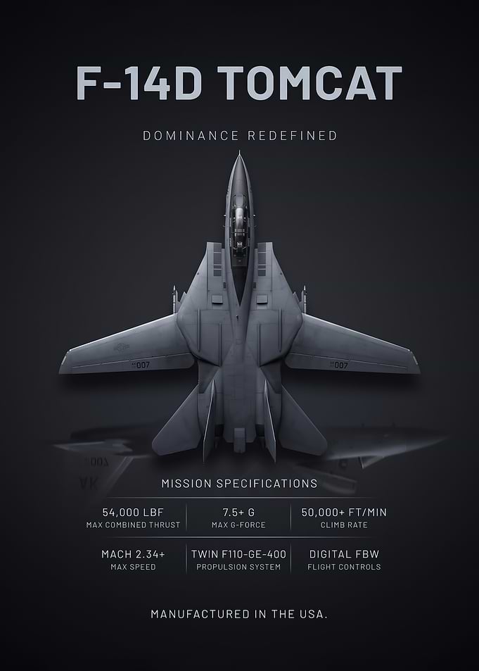 sleek jet F-14D Military Aircraft Poster