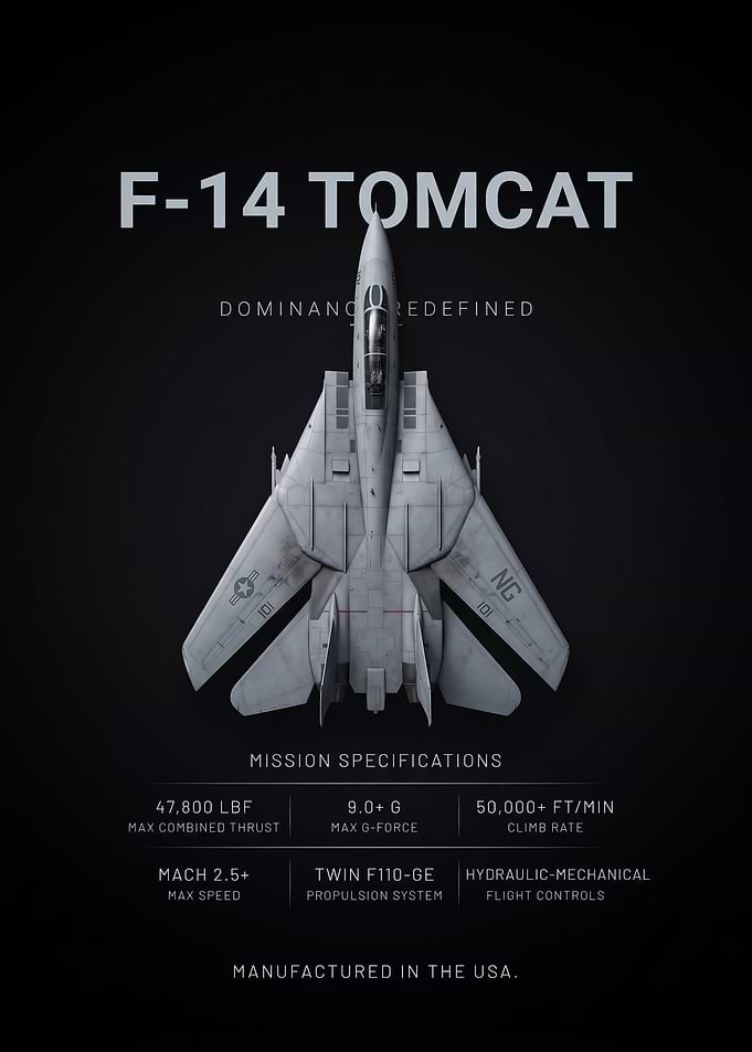 sleek jet F-14 Poster