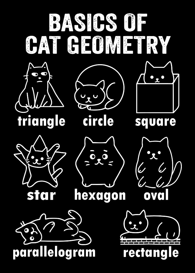 Basics of Cat Geometry Infographic