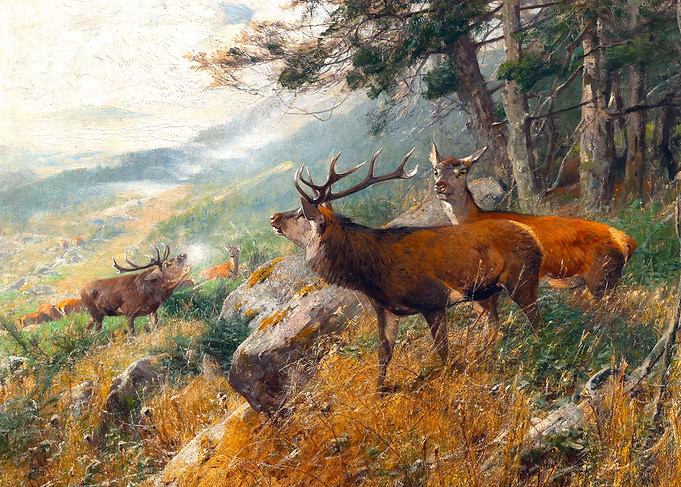 Deer in the Early Morning at Renneckenberg, Upper Harz Painting by Christian Kroner