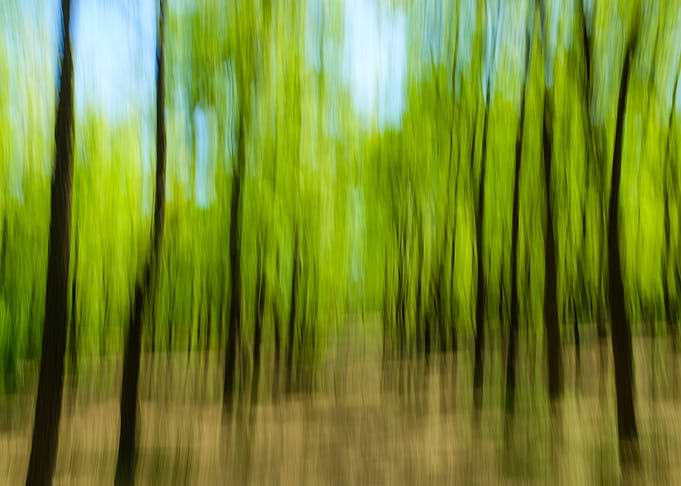 Intentional Camera Movement and Motion Blur