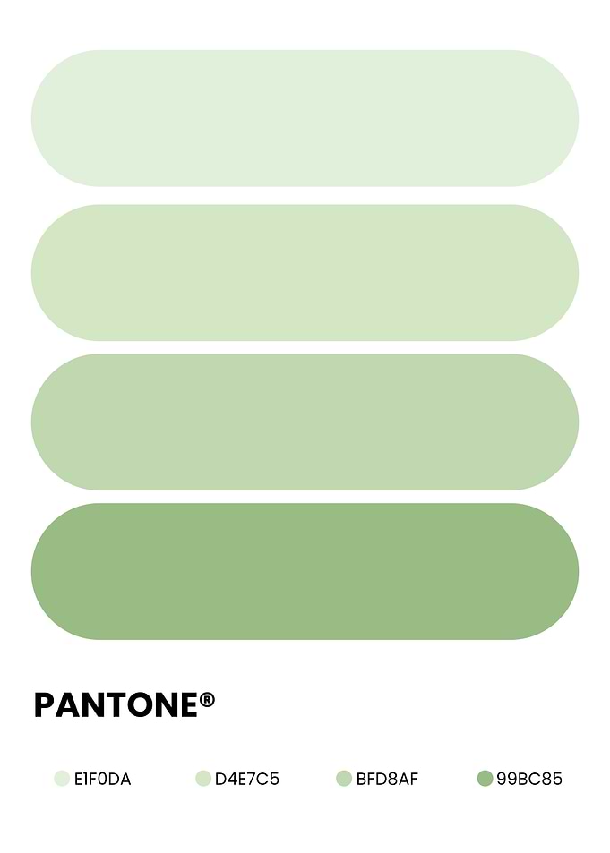 Green Pantone Color Palette Swatches