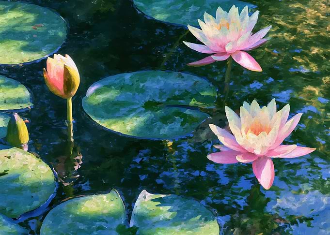 Impressionist Water Lilies Pond Painting