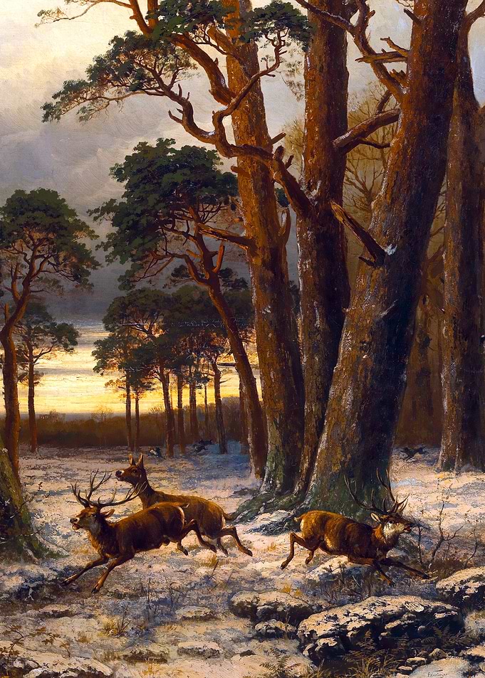 Deer in the Snow Painting by Anton Weinberger