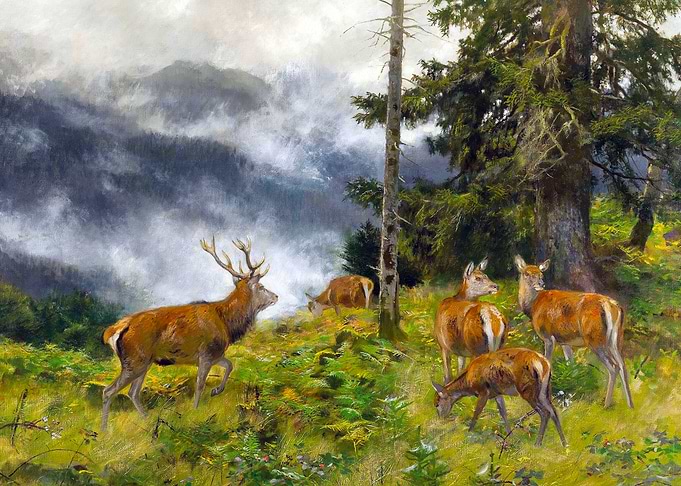 Deer in Morning Mist Painting by Josef Schmitzberger