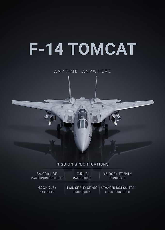 jet front view F-14 Aircraft Poster