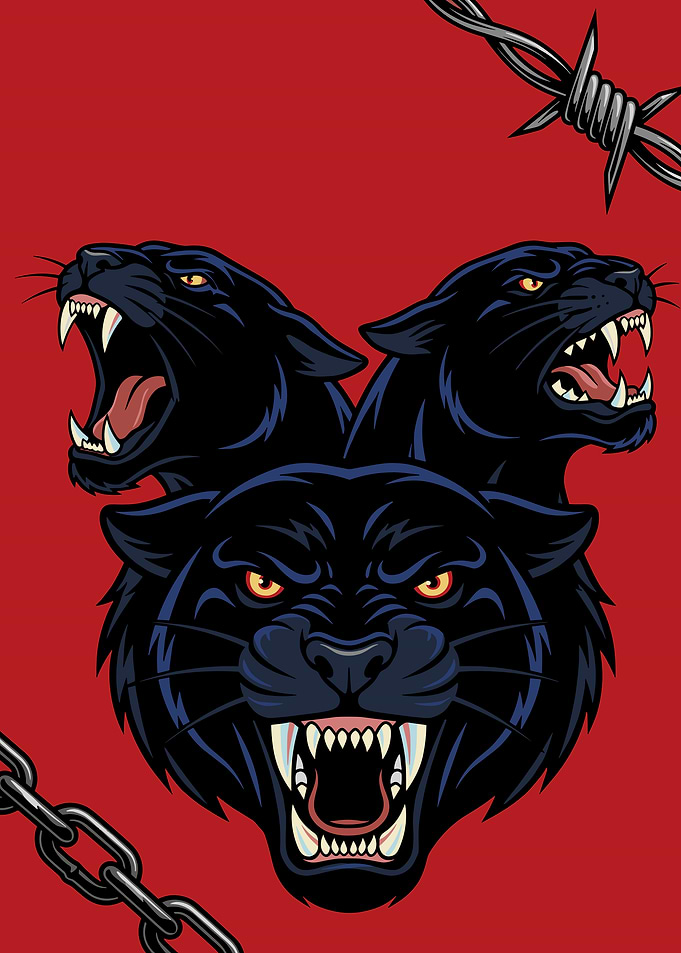 Three Fierce Black Panthers Illustration