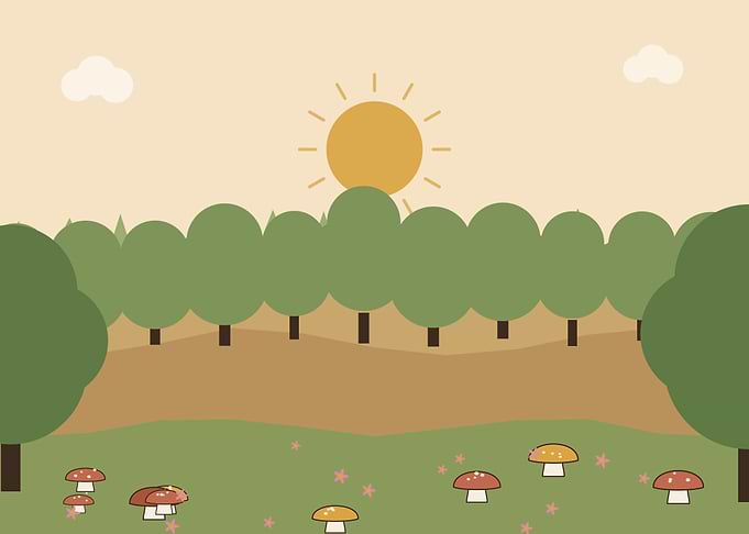 Cute Mushroom Forest Landscape Illustration
