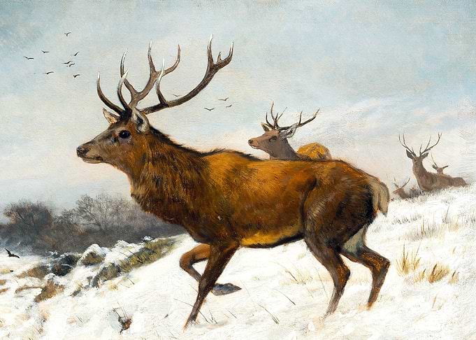 Deer in Snow Painting by Carl Friedrich Deiker