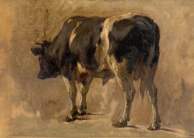Bull