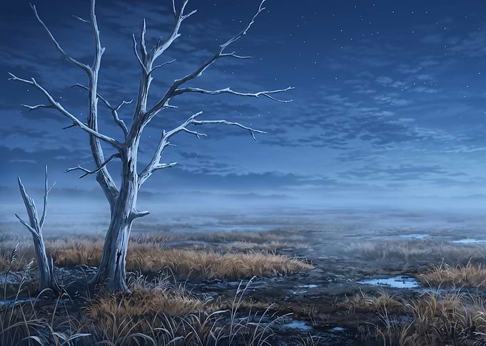 Eerie Dead Tree in Misty Marsh
