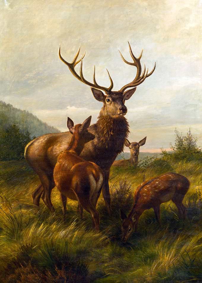 Group of Deer Painting by Carl Friedrich Deiker