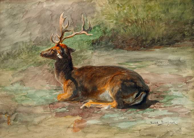 Resting Deer Painting by Rosa Bonheur