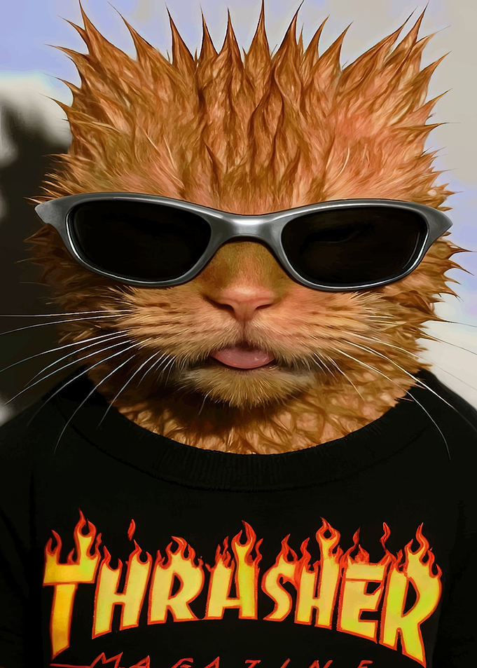 Cool Wet Cat in Thrasher Shirt