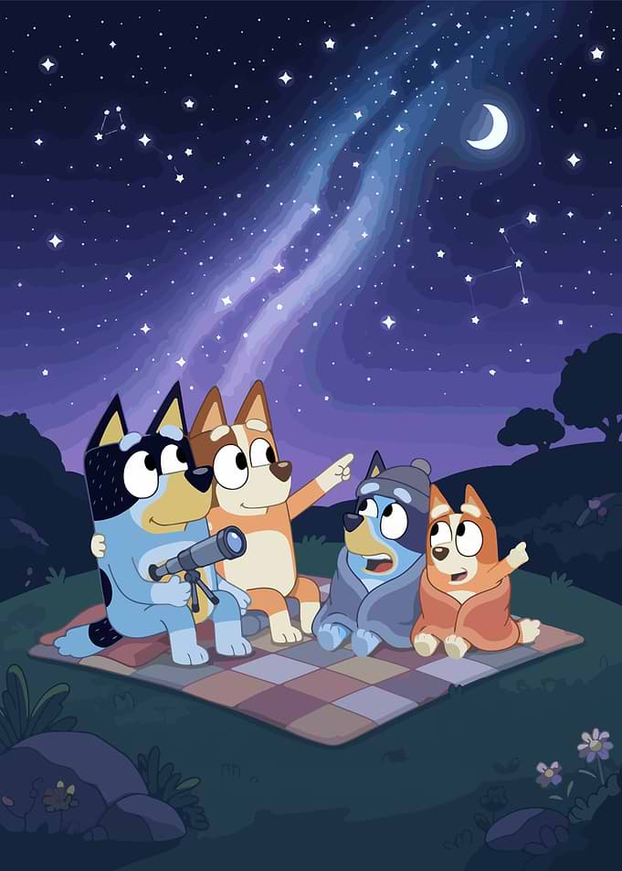 Bluey Family Stargazing Night