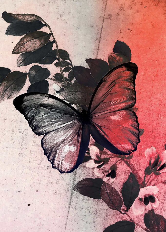 Red and Black Butterfly Nature Art
