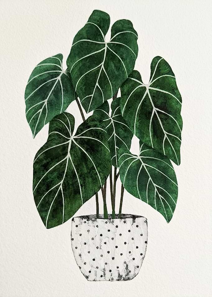 Watercolor Potted Philodendron Plant Illustration