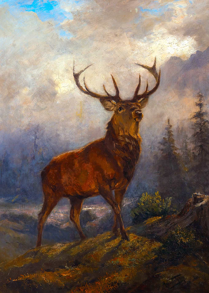 Stag Deer Painting by Anton Weinberger