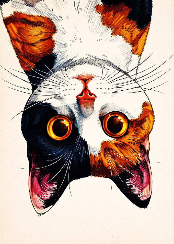 Upside Down Calico Cat Portrait