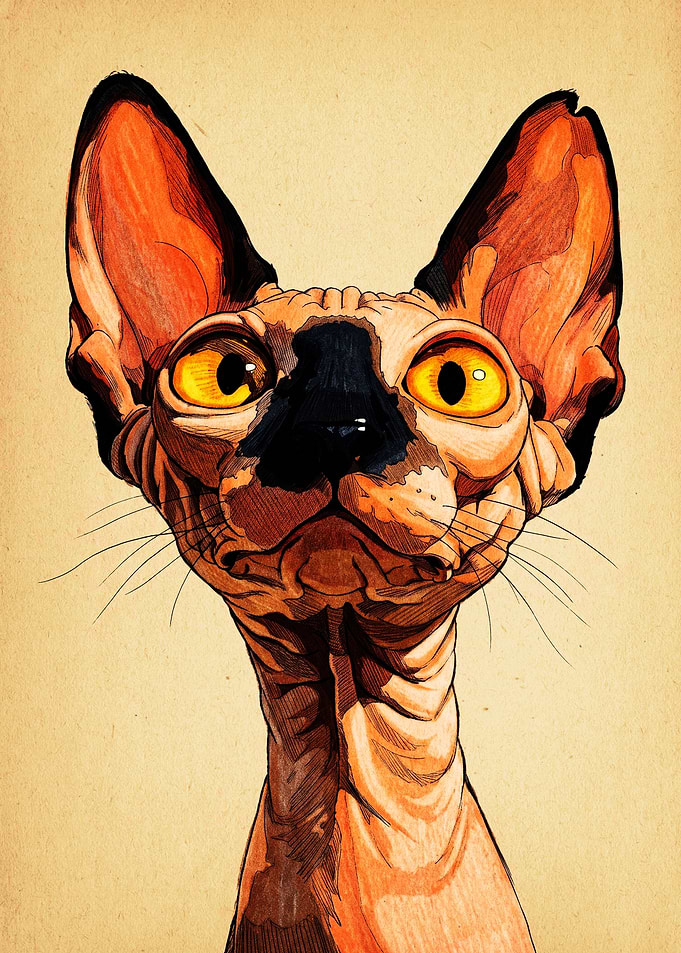 Stylized Sphynx Cat Portrait