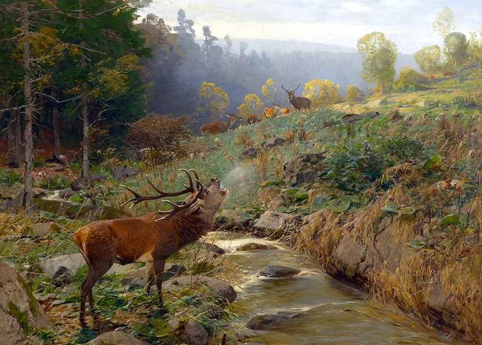 Red Deer Herd in Forest Clearing Painting by Johann Christian Kroner