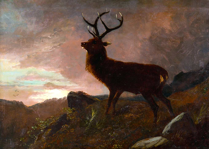 Stag Deer at Twilight Painting by Franz Xaver