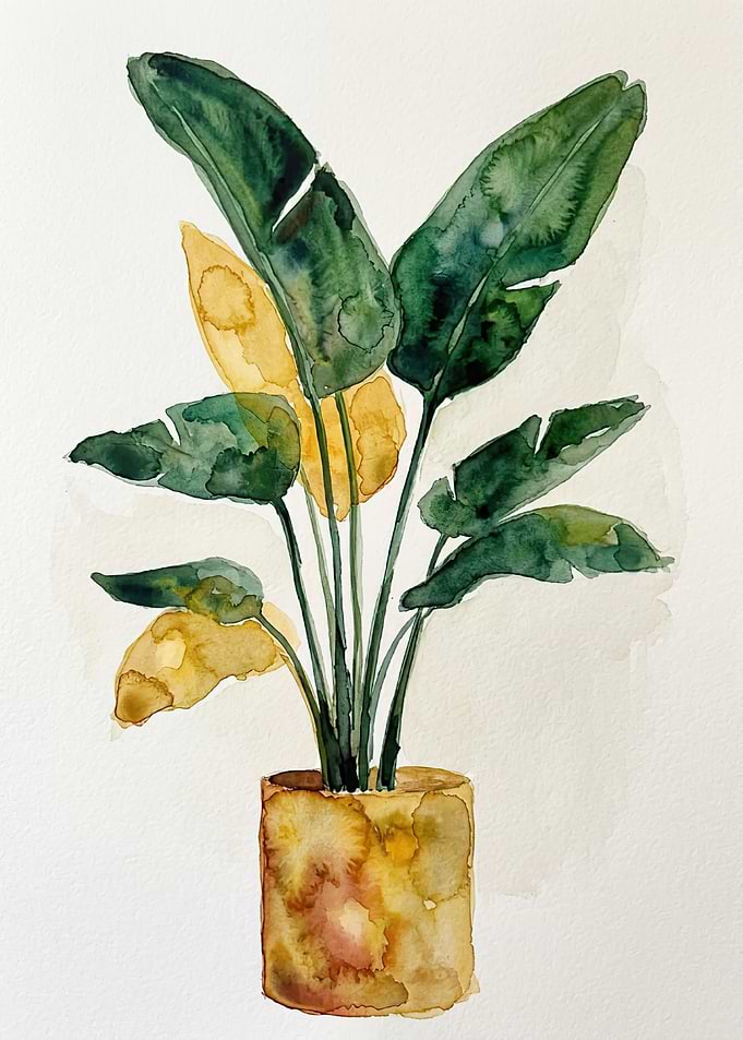 Watercolor Potted Plant Illustration