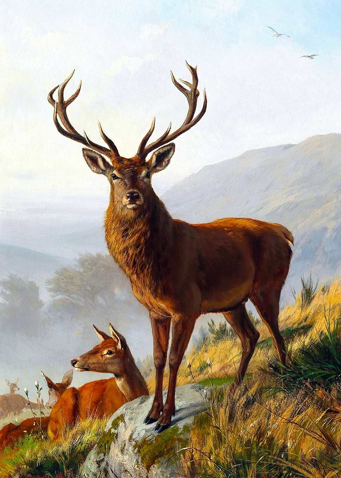 Stag Deer Painting by Carl Friedrich Deiker