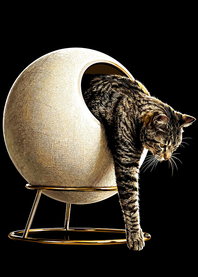 Tabby Cat in Modern Spherical Bed